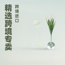 Sl羳7^ɫ޹²ݻԈ@ˇb滨