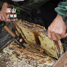 阿四出品 | 福建大山里产的龙眼蜜 农家土蜂蜜 450克