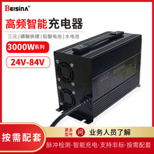 High-Frequency Lithium Battery Charger 29.4V 43.8V 50.4V 54.6V 50A High-Power Special Charger