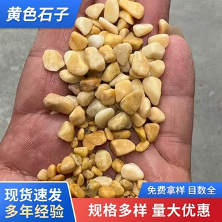 现货批发黄色石子黄色米园艺铺面鱼缸造景天然透水路面垫石