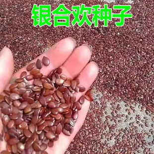 �G���Ϛg�N�������q����N���^�p�t���ļ��׷N�̨�����y�Ϛg�²�
