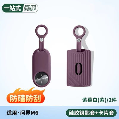 Wenjie M6/New M7/M8/M9 Static Rod/Key Bag - m6-key-case-card-holder-2-piece-setzimu-white-no-specifications