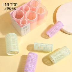 Lameila Premium 6-Piece Curling Iron, Girl's Wet and Dry Curling for Air Bangs, Model C201