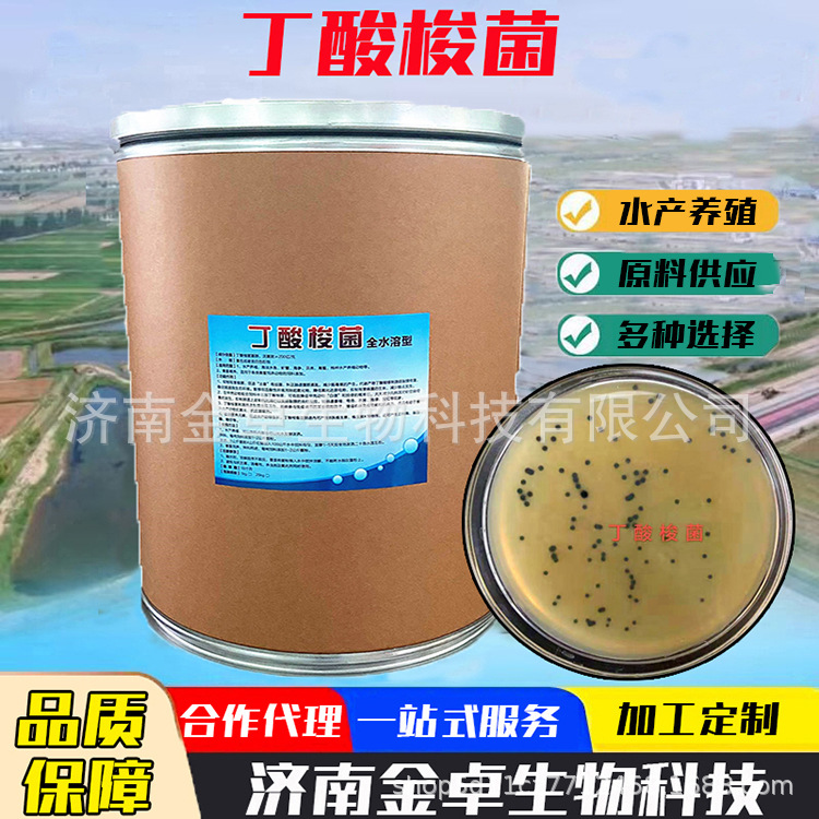丁酸梭菌水产养殖丁酸菌粉剂调理肠道净化水质水产丁酸梭菌