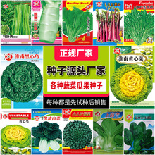 lļ~߲˷NӲ˷N԰ײ}˷Nݲ