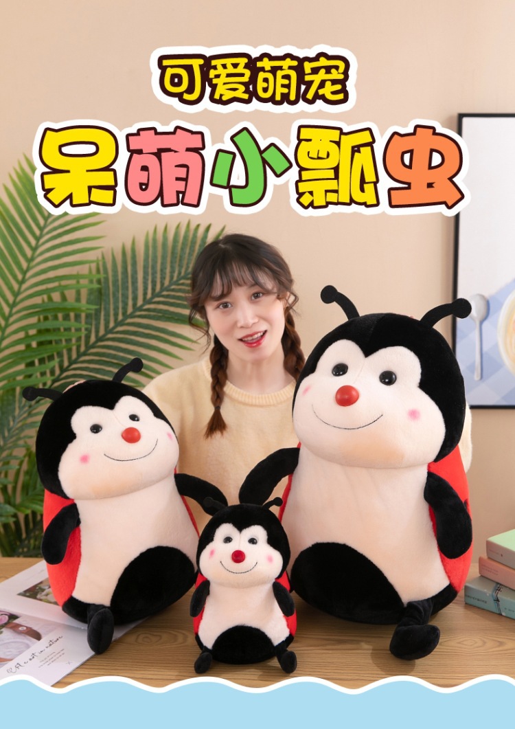 瓢虫 (1).jpg