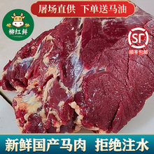 马肉新鲜 广西现杀特产马肉 火锅烧烤食材散养生马肉生鲜马腿肉