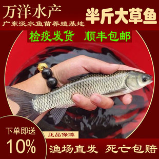 ���~���ش����lһ�ﱾ�ذ���r�����ڵ�ˮ�Bֳ�~�����~���l���~��