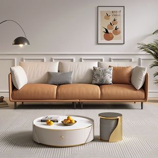 Minimalist Light Luxury Tech Fabric Living Room Sofa Small Apartment Nordic Modern Simple Washable Three-Seater Trendy Model