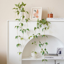 �¿�����F��ɏ�ٗl����Gֲ�Ғ�ڑ��⹤���b������滨���l