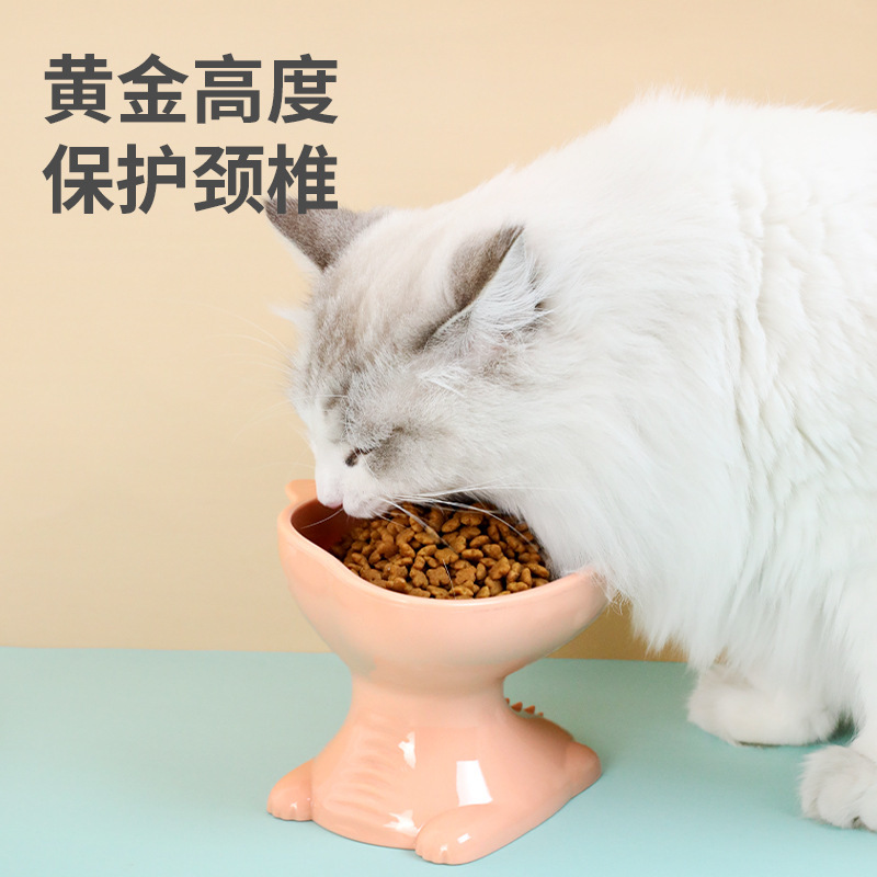 Hawo Luz de lujo cuello protección gato cabeza mascota agua potable alimentación tazón dibujos animados afortunado gato plato comida gato suministros al por mayor