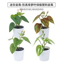 ������������ �G�}�~�����~��������С�辰����[���YƷ����Gֲ