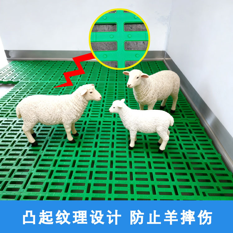 Fábrica de fuente de lecho de ovejas de plástico resistente a la corrosión para equipos de granja de ovejas de industria pesada Su Mu