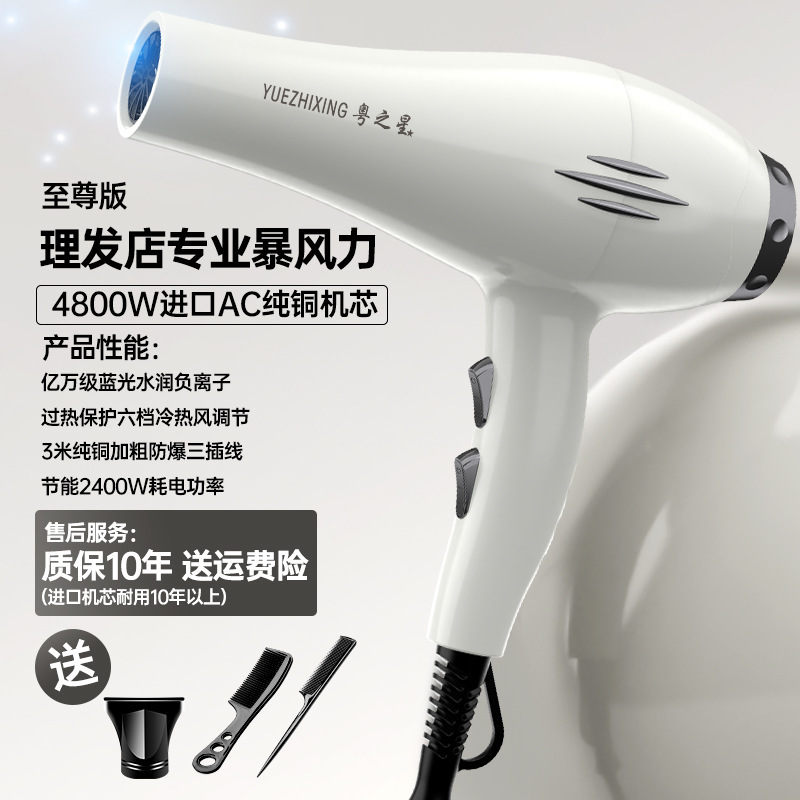 メーカー卸売ドライヤーハイパワーブルーライトマイナスイオンドライヤー家庭用ヘアサロン速乾冷熱風ドライヤー|undefined