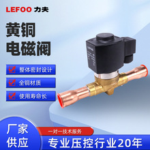 LEFOO 220v 24v常闭先导活塞式蒸汽阀高温高压法兰黄铜制冷电磁阀