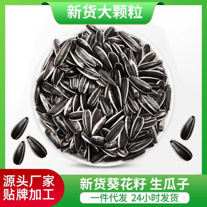包邮新货生瓜子葵花籽大颗粒新鲜瓜子饱满皮薄363大颗粒生瓜籽