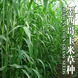 园艺工具;其他园林资材;植保机械