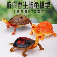 �羳����Ұ���������ģ�̓�ͯ�J֪���X���]�����׻����b[��