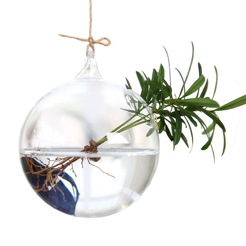 Creative hanging fish tank, hydroponic glass hanging bottle, wedding decorations, creative home crafts