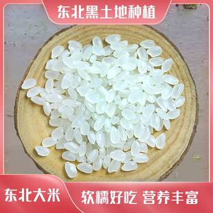���ޕrƴ�F���������Ж|������10��������5kg�׏Sֱ�����]����