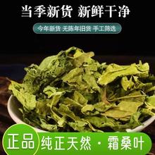 批发现货 桑叶 中药材 干桑叶 青桑叶 名贵 冷背奇 一站式采购点