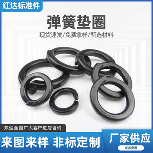 F؛lӺ_ڸߏȏ|ɫ̼䓏ɉ|Ȧԉ|Ƭ