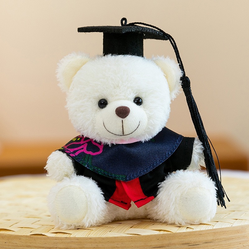 Dr. Bear Colgante muñeca puede imprimir LOGO sombrero doctor regalos de graduación uniformes de muñeca oso bolsos llaveros