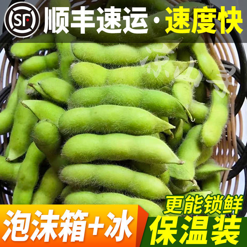 顺丰高山带壳毛豆新鲜大青豆豆荚带壳青豆应季蔬菜老品种鲜豆角