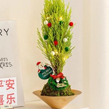 ֲ}Qֲ҃ļ}QYƷƽGֲYƷ