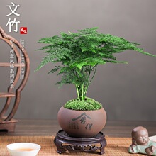 ��������ֲ���҃Ȼ����辰�͏d�k��������С�Gֲ���B����ļ�����