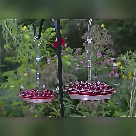 新しい六角形のハチドリの餌箱ハミングバードの餌箱六角形の吊り下げ式鳥の餌箱|undefined