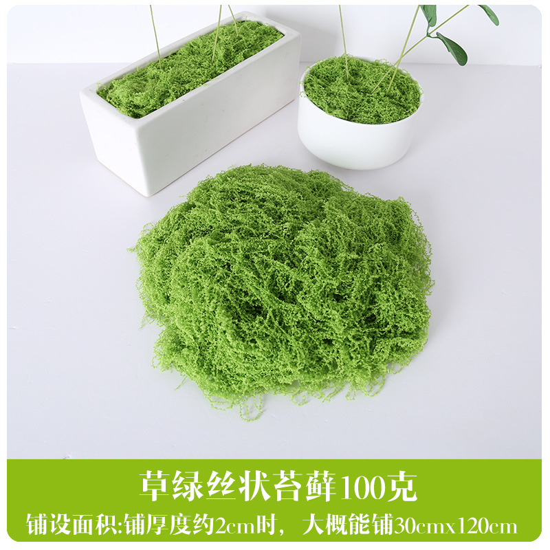 Musgo Fibroso Fruta Verde - 100g