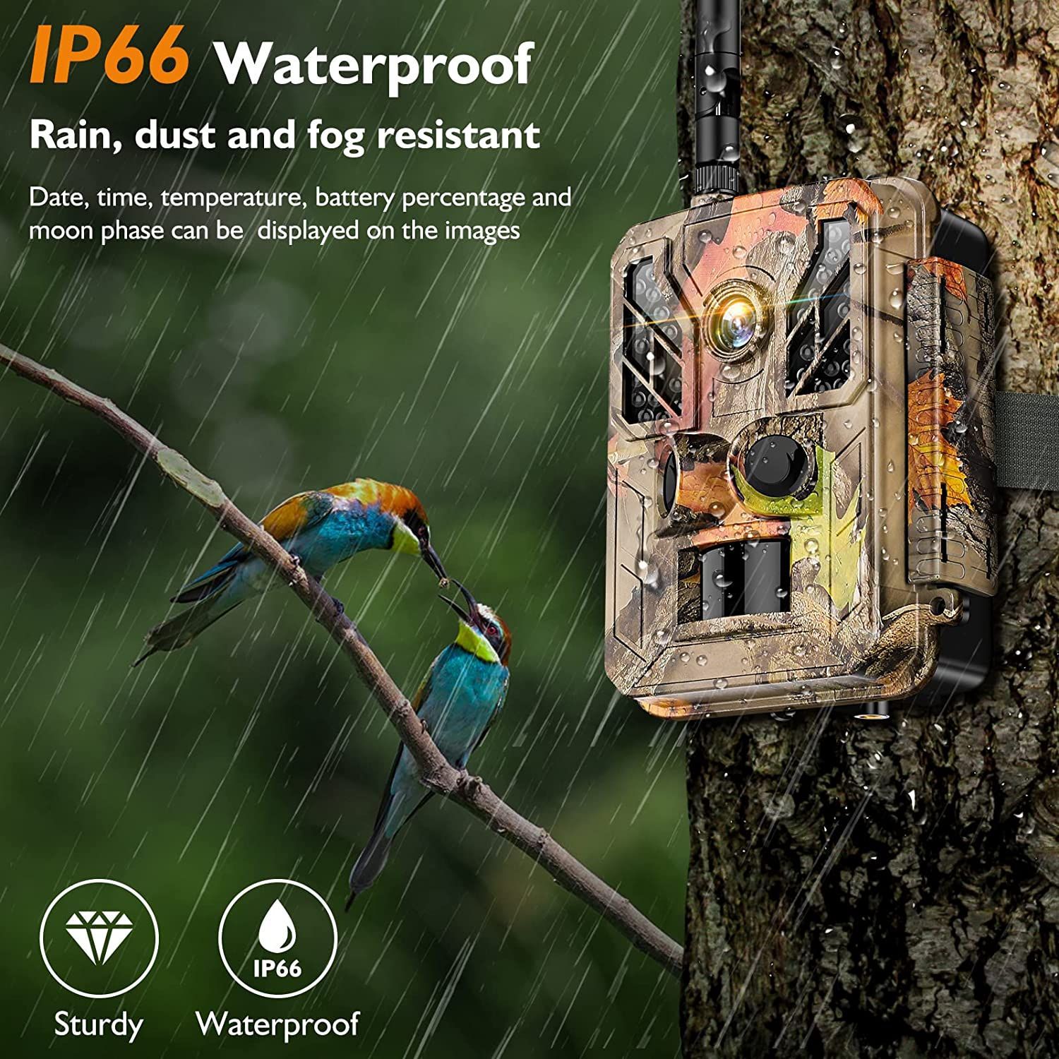 Perfect for outdoor adventures