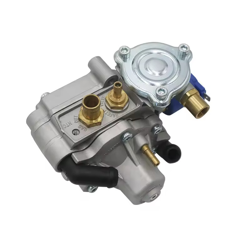 Lpg/Cng Car Oil to Gas At13 Conversion Kit Pressure Reducer Gas Pressure Regulator Gas Car Accessories