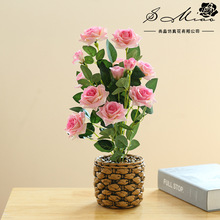 �ٻ�Сõ����辰����ֱ�����컨����Ҿ�װ��Ʒ�������Ծ��ֲ