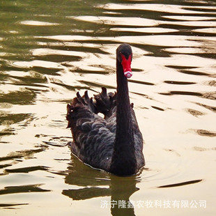 �����Zһ��Ҫ�����X�����Z���L�r�g�����µ��Z��r�� ���պ����Z