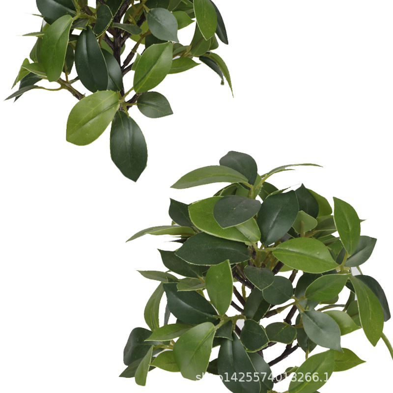 XRS-157 迷你榕叶5号盆栽109叶4.jpg