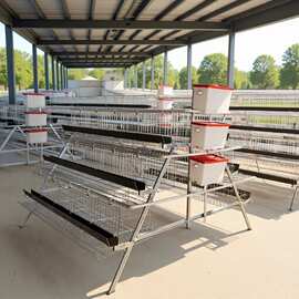 阶梯蛋鸡笼冷热镀锌三层四层可加清粪带养殖场下蛋鸡笼蛋鸡养殖笼