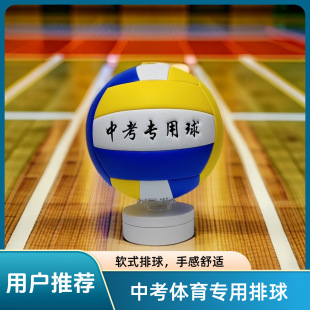 Manufacturer Wholesale Machine-Sewn Volleyball No. 5 High School Entrance Examination Standard Competition Training Ball Student High School Entrance Examination Special Volleyball Competition