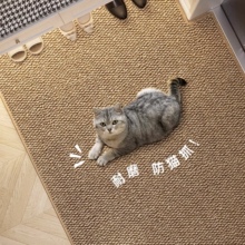 仿剑麻入户门地垫玄关耐脏易打理进门垫家用双色菠萝圈耐磨防滑垫