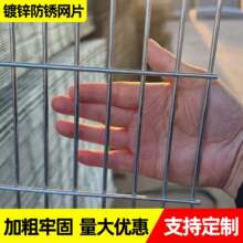 现货苗床网片电镀锌温室种植固定育苗网栽植床钢丝网异形镀锌网片