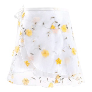 Dance Veil Skirt Classical Dance Practice Adult Ballet Skirt Modern Dance One-piece Lace-up Embroidered Mesh Skirt