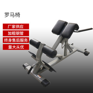 Roman stool commercial gym abdominal muscle professional trainer factory strength goat stand back muscle waist lifting Roman chair