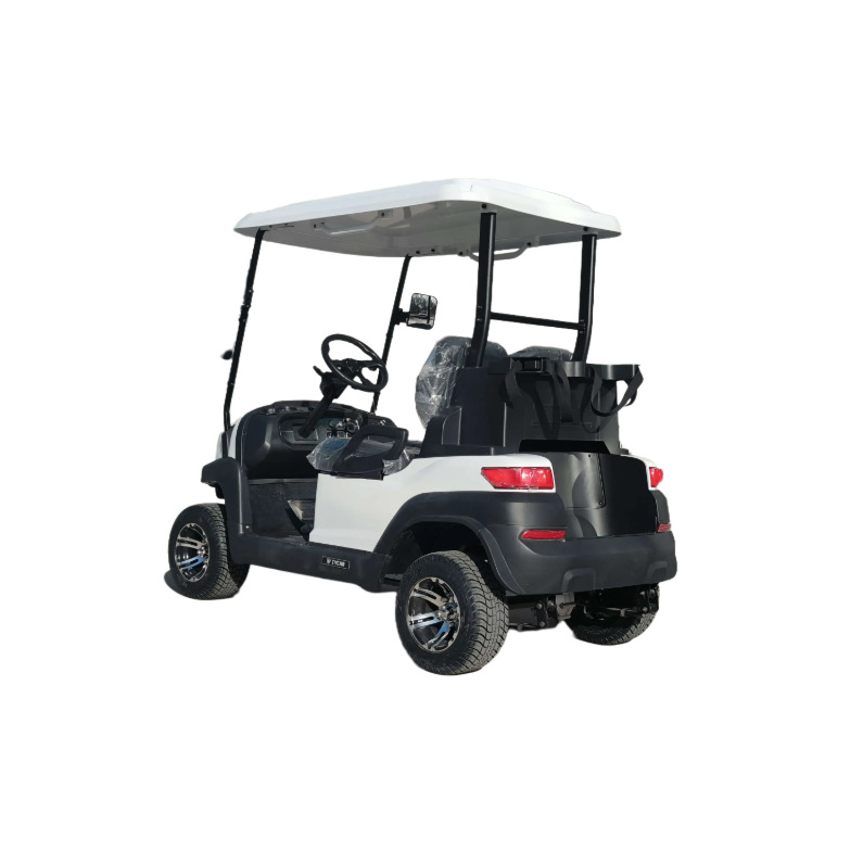 2025 New Electric Golf Cart, Strong Climbing Power, Stable Power, Anti-Slip Design in Rainy Days, a Must-Have for Players