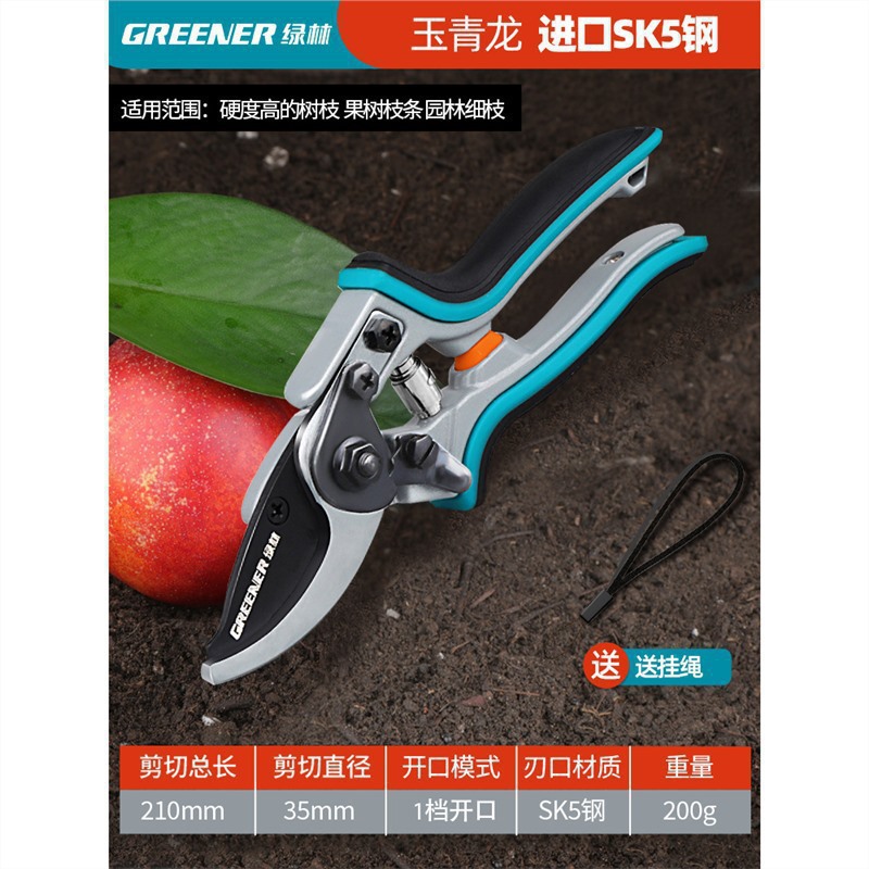 Tijeras florales Artesanía alemana Ramas de frutas Tijeras de ramas Cuchillos Tijeras de poda Bosque verde Jardinería Poda importada Envío gratis