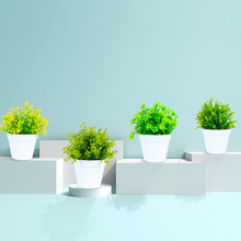 �羳���滨�ٻ����ϰ�ɫС���ԾGɫ����Ҿ��b廨��������[��