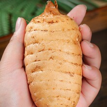 ���r�������������ͨС�݉η�Ұ��������Y�ЬF�ڬF�l���r