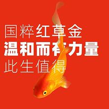 �^�p�ݽ��~�ͻ���~���~�t���~�\������~��ˮ�^�p�~���\���~