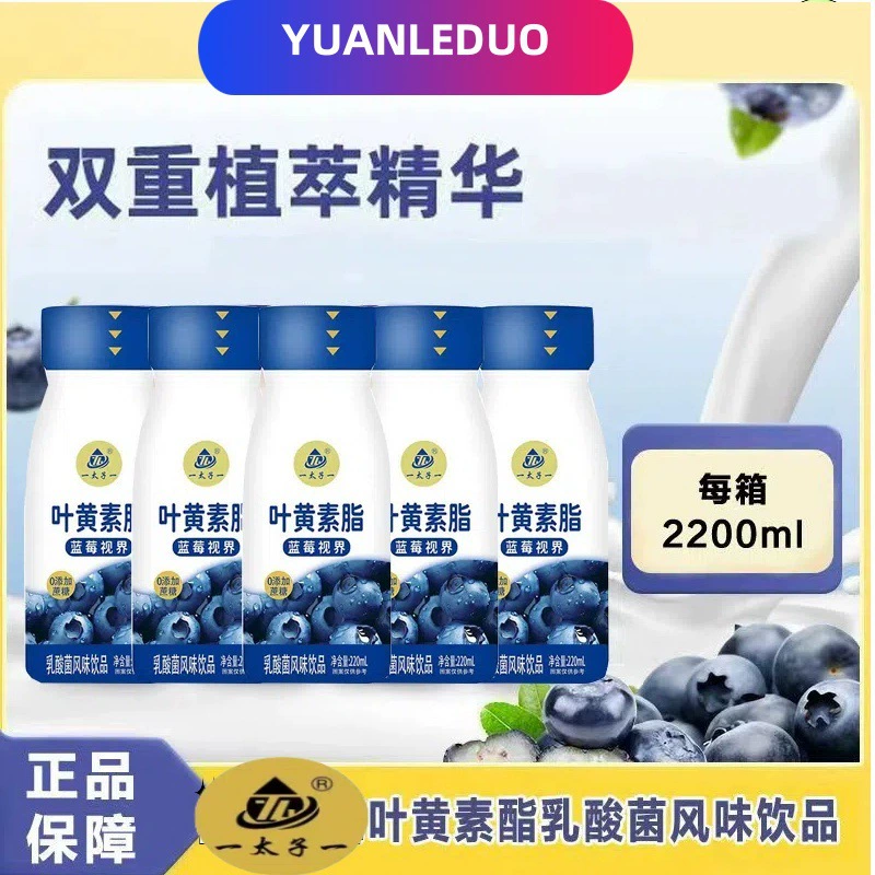 Blueberry yogurt 0 added sucrose lactic acid bacteria flavored drink room temperature beverage student breakfast