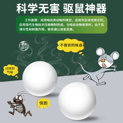 Other Automotive Interior Supplies New Model Special